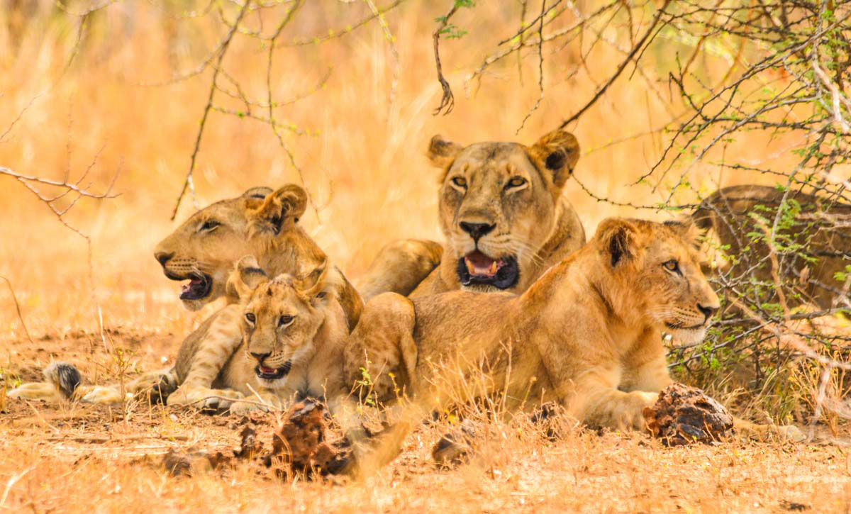 Top Destinations in East Africa