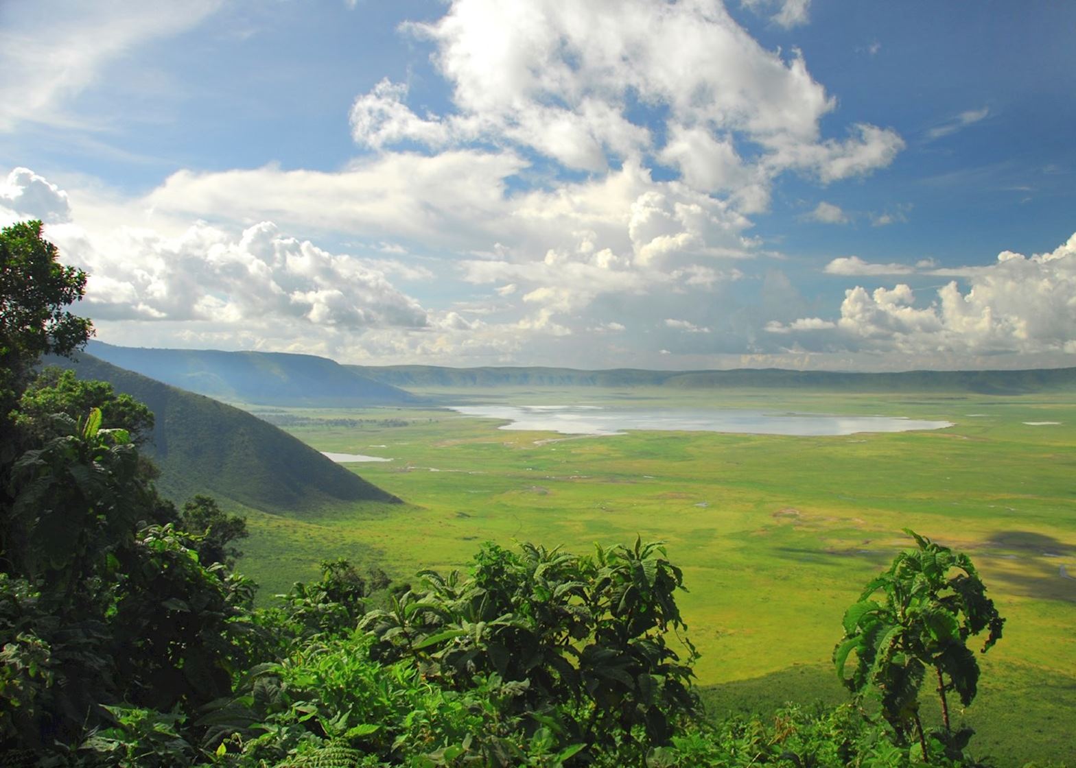 7 Days Wildebeest & Gorillas Safari