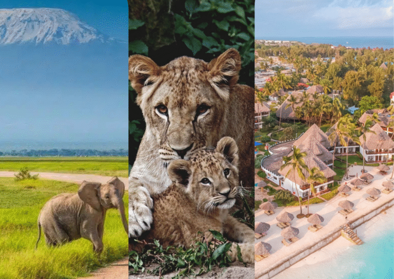 10 Days Kenya, Tanzania and Zanzibar Safari Holiday