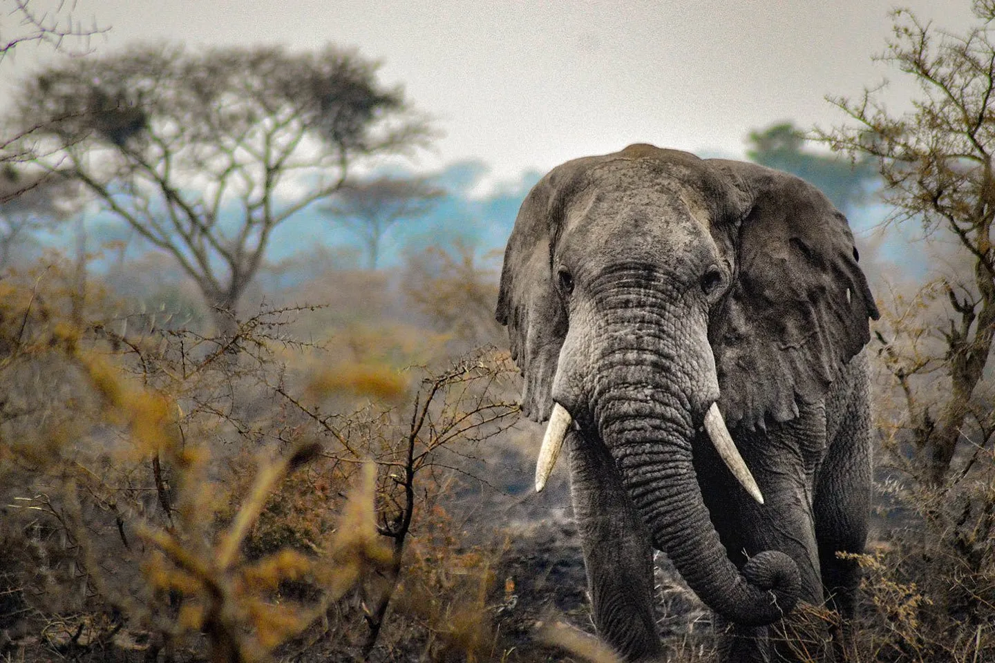 7 Best Places to Safari in Uganda
