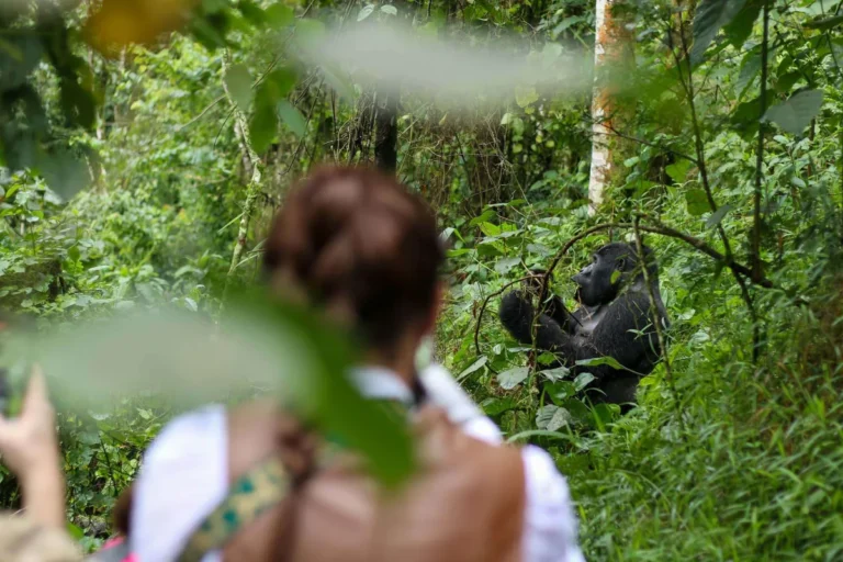 9 Day Uganda Rwanda Safari