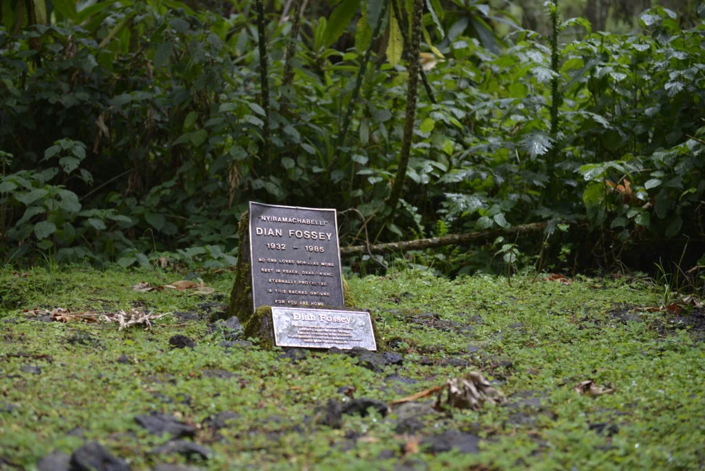 Dian Fossey Grave Site Hike