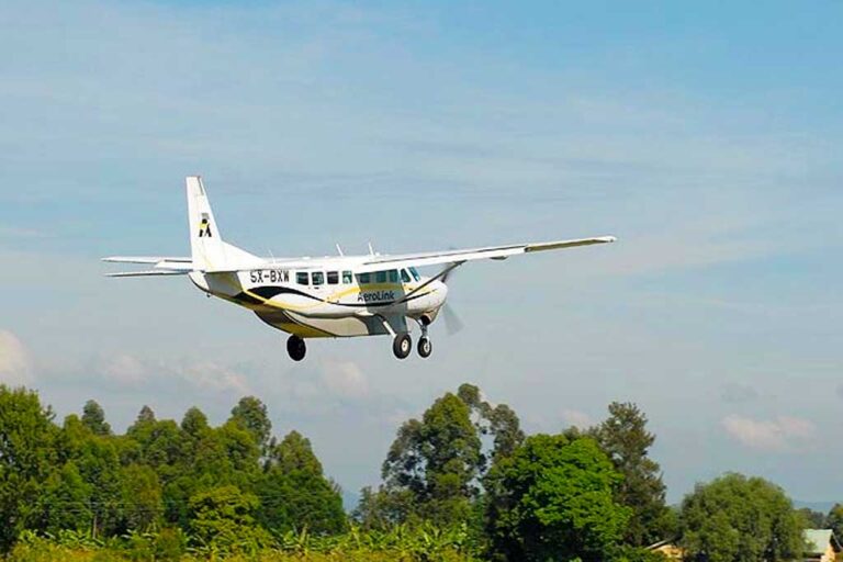 How To Get to Bwindi Impenetrable National Park