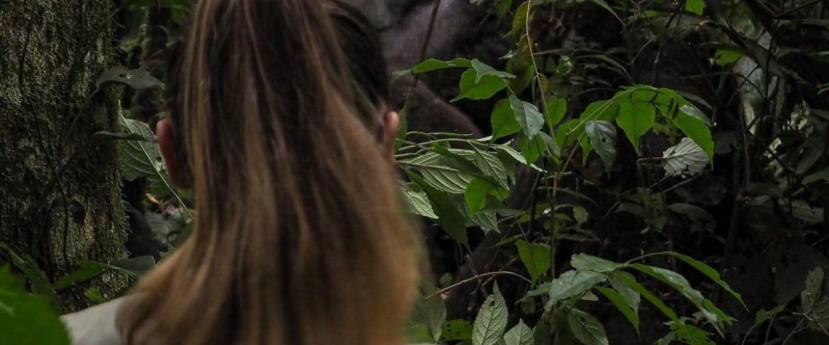 6 Days Primate Adventure