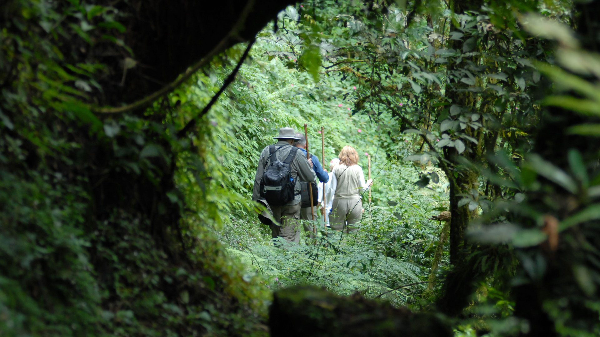 11 Days Bwindi Gorilla Tanzania Safari and Zanzibar Holiday