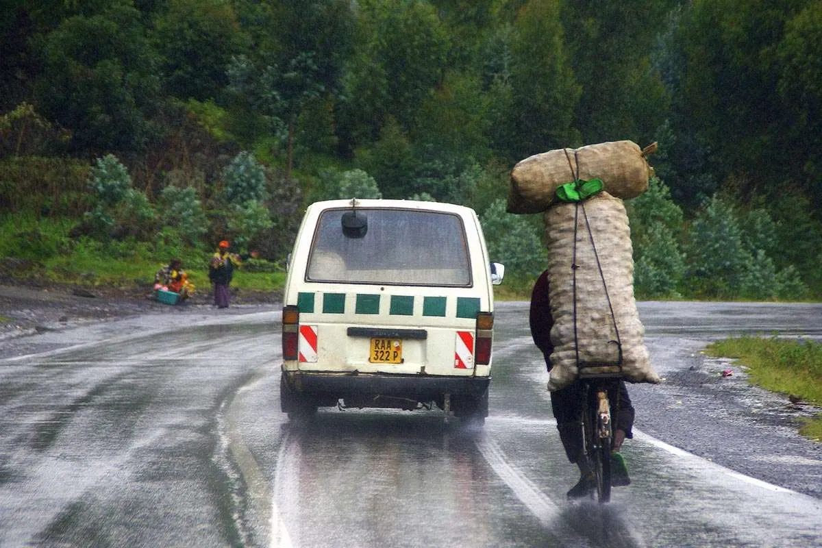 How To Get to Bwindi Impenetrable National Park