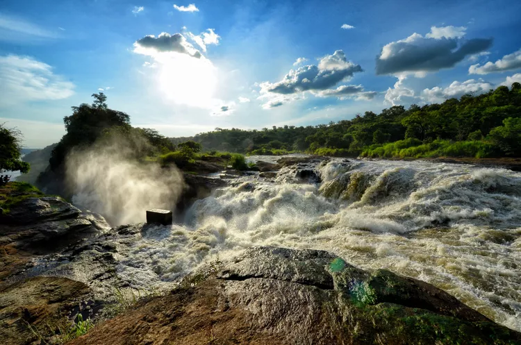 10 Reasons to Visit Murchison Falls National Park