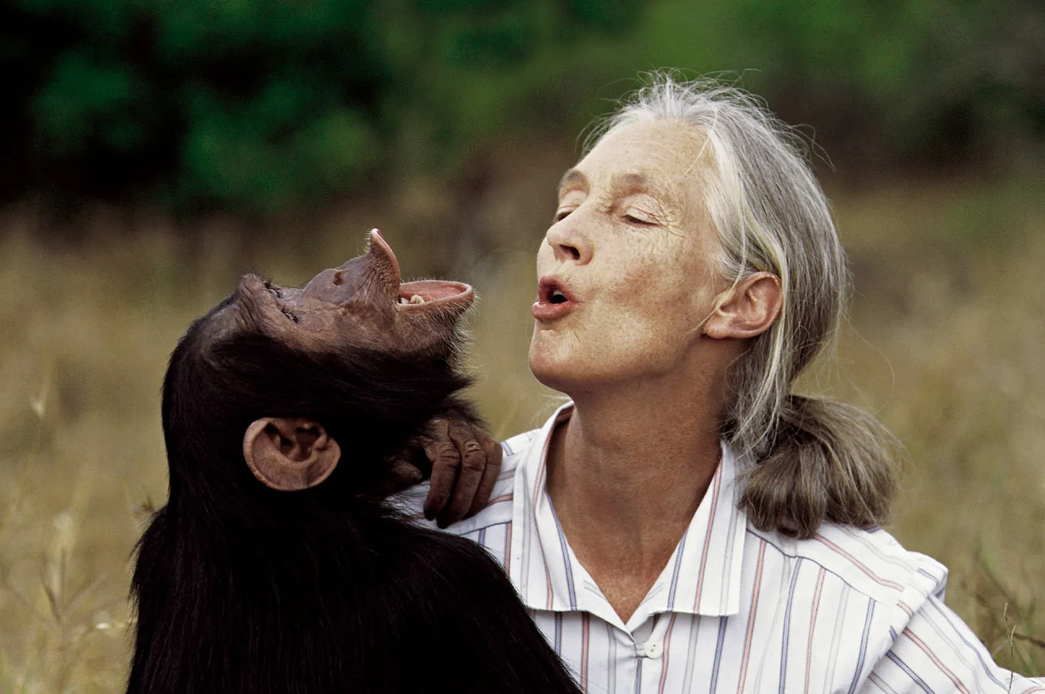 Jane Goodall 