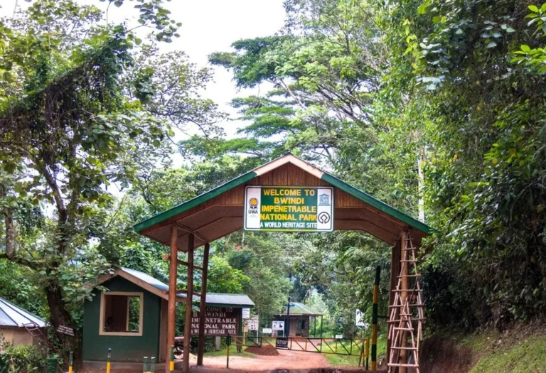 History of Bwindi Impenetrable National Park