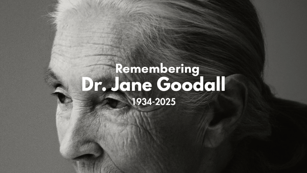 Jane Goodall