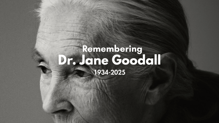 Jane Goodall