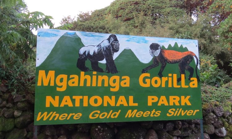 5 Days Uganda Gorilla Trekking