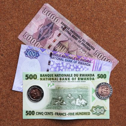 Essential Documents Needed for Gorilla Trekking in Uganda and Rwanda