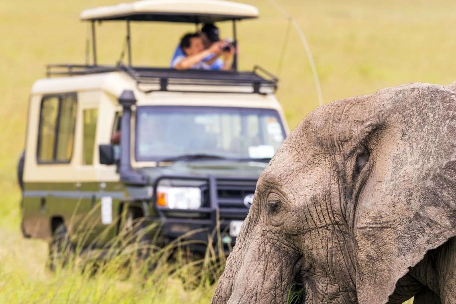 Top 10 Activities To Do On Your Uganda Safari