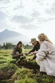 4 Days Volcanoes National Park Safari