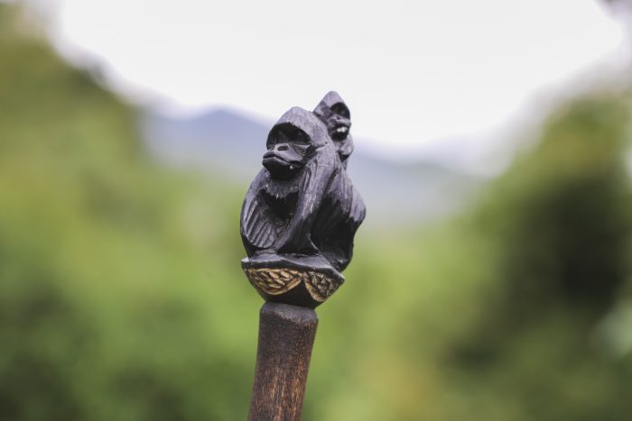 Gorilla Trekking Gears 