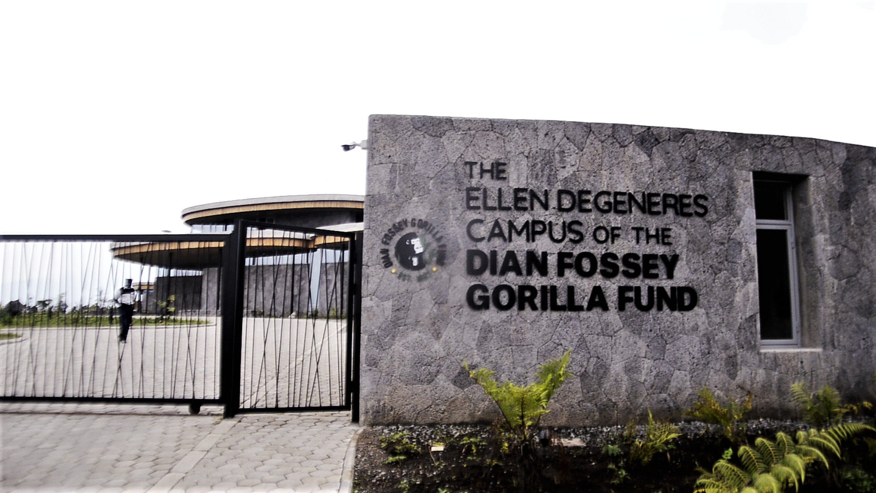 4 Days Gorillas & Dian Fossey Campus Visit