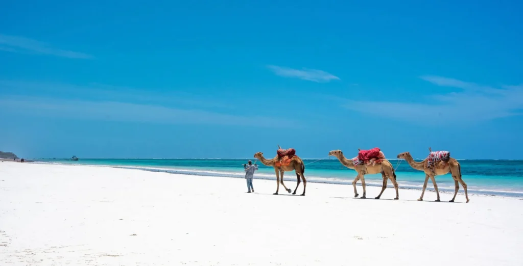 4 Days Zanzibar Kendwa Beach Holiday and Stone Town Tour
