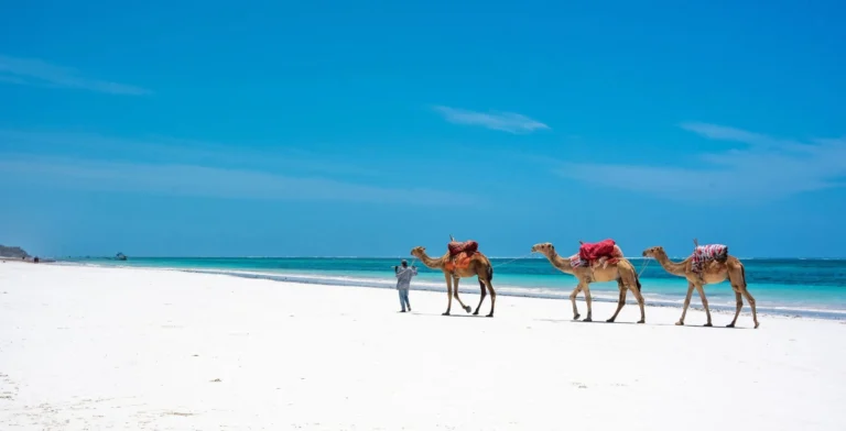 4 Days Zanzibar Kendwa Beach Holiday and Stone Town Tour