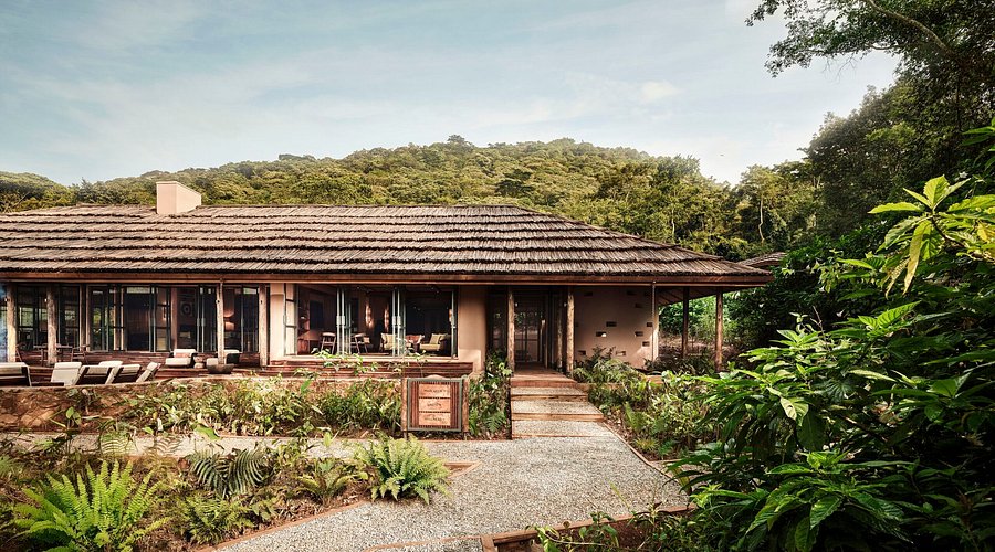 Gorilla Forest Lodge